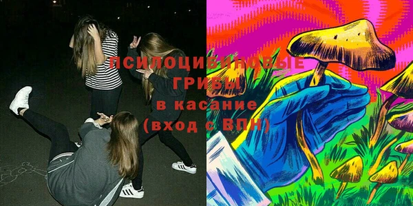 соль ск Пересвет